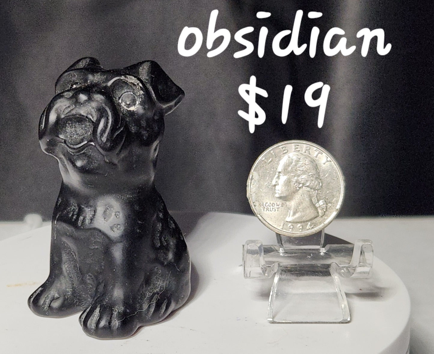 Obsidian pooch