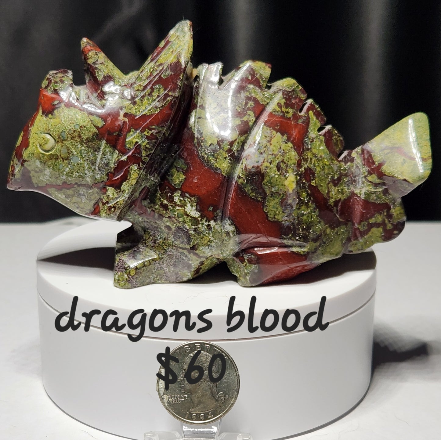 Dragons Blood Dino